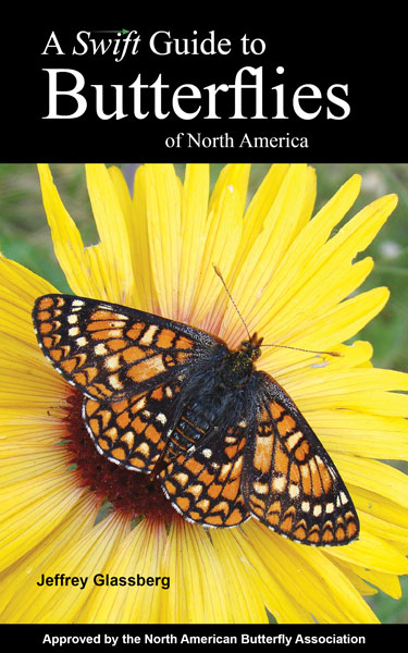 Swift Guide to Butterflies of North America
